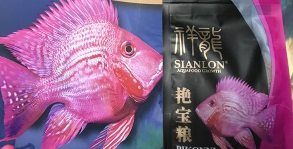 元寶鳳凰魚艷寶糧：專為元寶鳳凰魚打造的營養(yǎng)魚糧，助力魚兒色彩斑斕、健康成長 魚糧 第1張