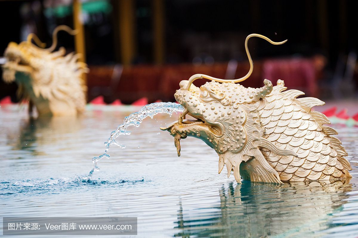 龍魚浮出水面咬空氣 龍魚百科