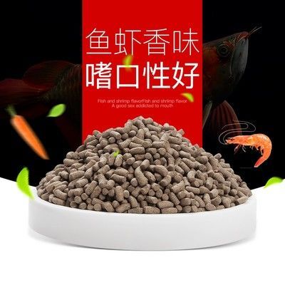 紅龍魚飼料品質排名前十名