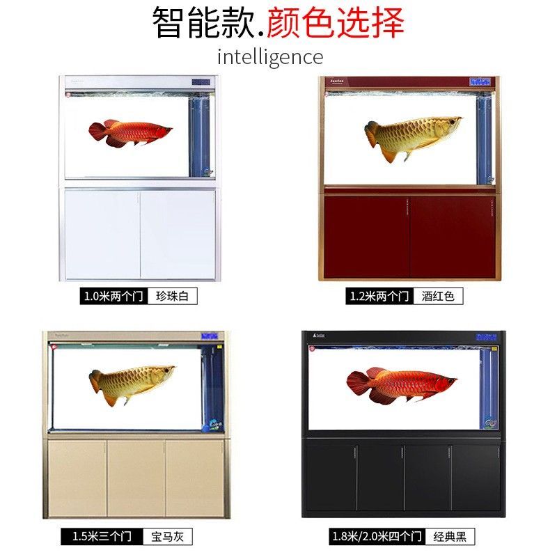 龍魚缸底什么顏色合適呢 龍魚百科