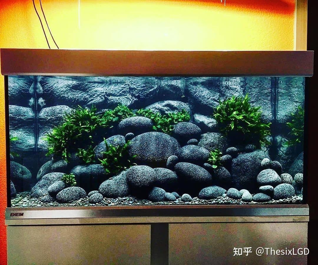 閩江魚缸和森森哪個(gè)好 森森魚缸