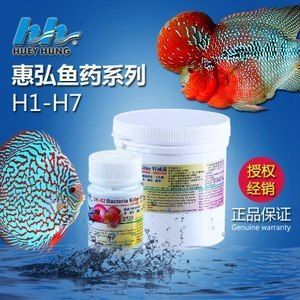 如何給龍魚吃的活物消毒殺菌 龍魚百科 第3張