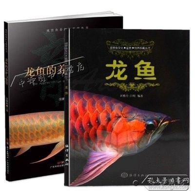 龍魚苗批發(fā)哪里便宜些呢 龍魚百科