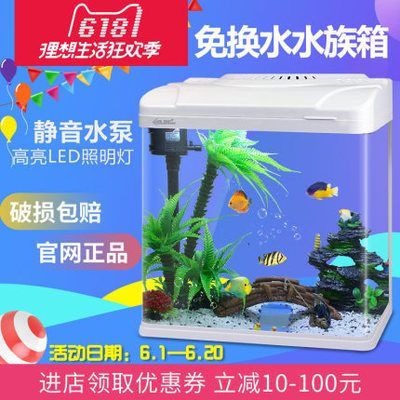 龍魚天天換水好嗎 龍魚百科 第2張