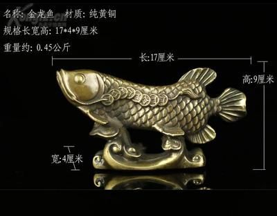 龍魚(yú)尺寸包括前面的須嗎 龍魚(yú)百科 第3張