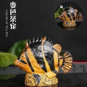 金龍魚變色的前兆是什么樣子 龍魚百科 第2張