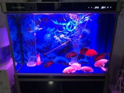 森森水族魚缸配件可以用手機操作嗎 森森魚缸