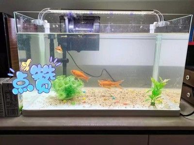 森森1058e魚缸安裝 森森魚缸