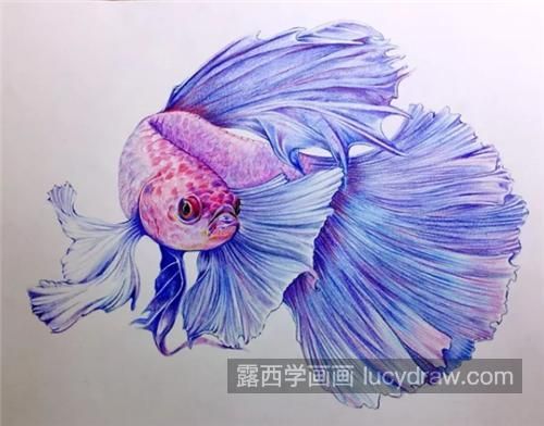 龍魚(yú)畫(huà)畫(huà)作品名稱怎么寫(xiě)好看 龍魚(yú)百科 第1張