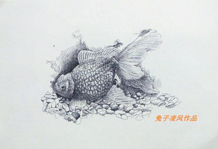 龍魚(yú)畫(huà)畫(huà)作品名稱怎么寫(xiě)好看 龍魚(yú)百科 第2張