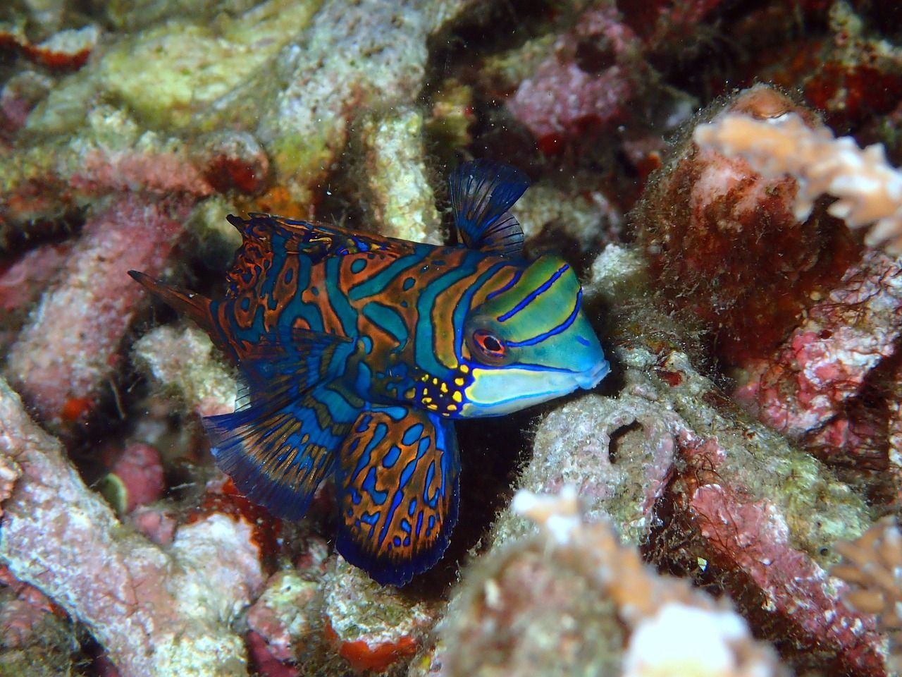 森森魚缸太原總代理 森森魚缸