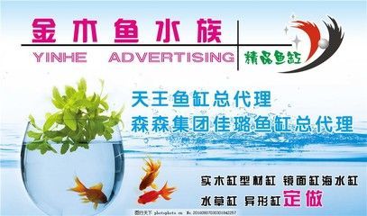 森森水族集團(tuán)宣片