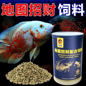 龍魚虎魚吃什么好一點(diǎn) 龍魚百科 第3張