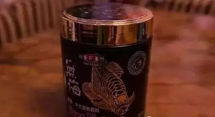 龍魚訓(xùn)食顆粒飼料有哪些品種 龍魚百科