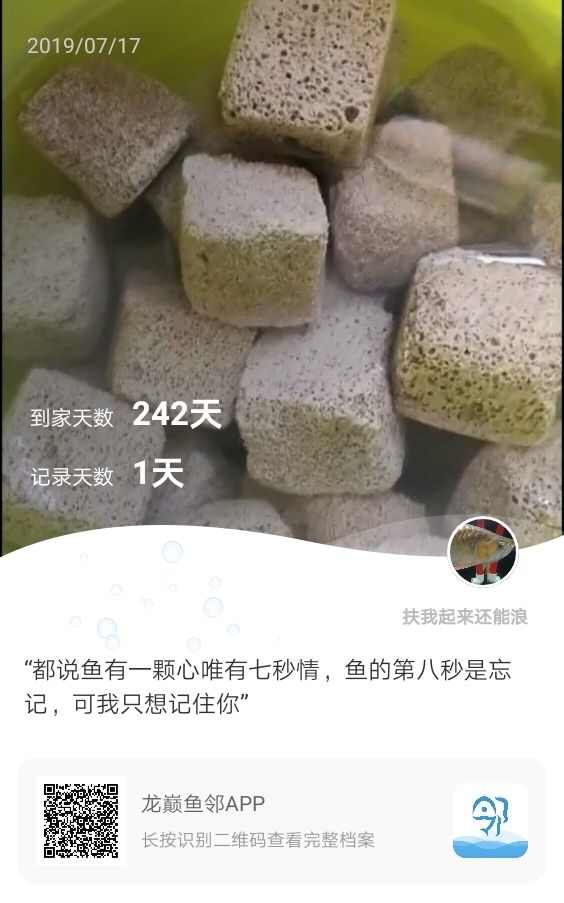 養(yǎng)魚夢中國夢 觀賞魚論壇