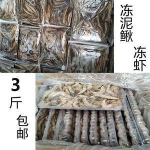 龍魚吃了冰凍的蝦 會(huì)生病嗎？ 龍魚百科 第3張