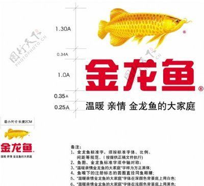 金龍魚 尺寸