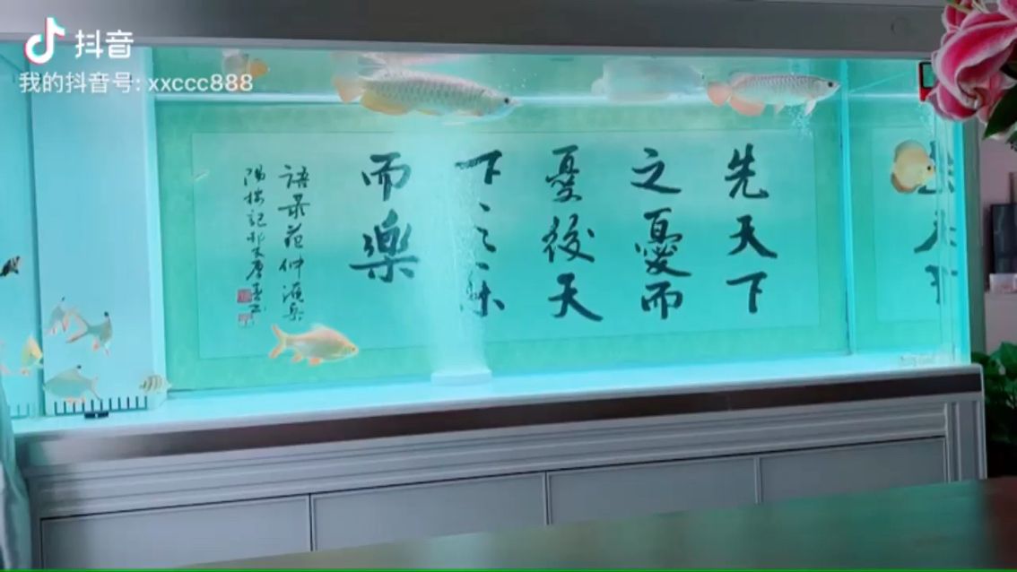 【小青捕食護(hù)食畫(huà)面欣賞】 觀賞魚(yú)論壇