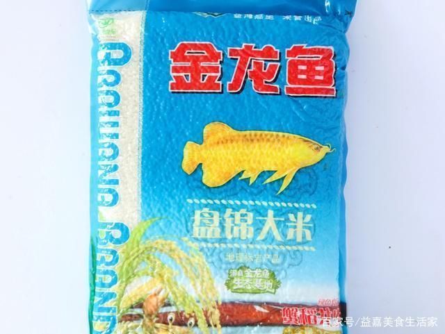 金龍魚米好不好吃 龍魚百科