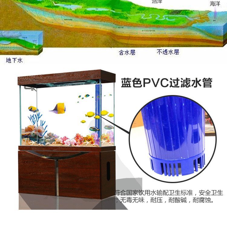 養(yǎng)龍魚養(yǎng)水多長時(shí)間換水最好 龍魚百科 第1張