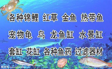 養(yǎng)龍魚(yú)需要什么過(guò)濾器材呢