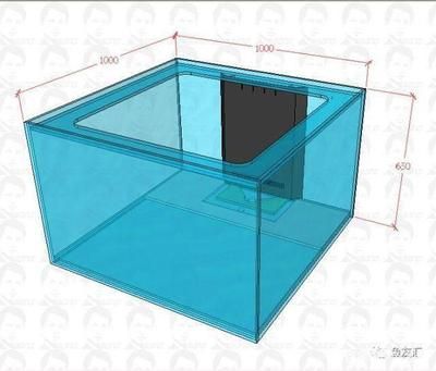 森森魚缸1米龍缸用的多大尺寸的三重溢流 森森魚缸