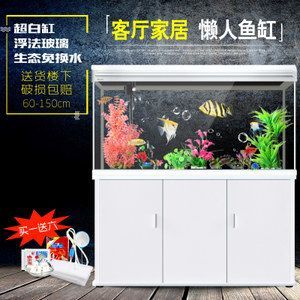 20公分的龍魚要多大的缸