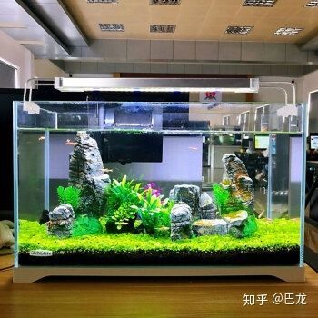 森森官方旗艦店魚缸 森森魚缸