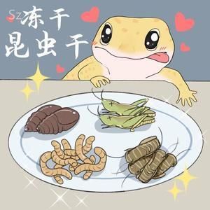 龍魚吃食不積極的原因