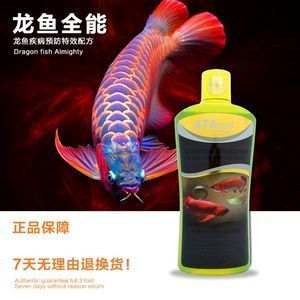 龍魚(yú)立鱗會(huì)自愈嗎為什么不能養(yǎng)了 龍魚(yú)百科 第2張