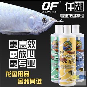 龍魚得了水霉怎么辦能治好嗎