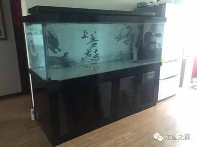 森森魚缸80型號(hào)下過濾 森森魚缸