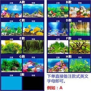 龍魚缸底用什么顏色的石頭好看 龍魚百科