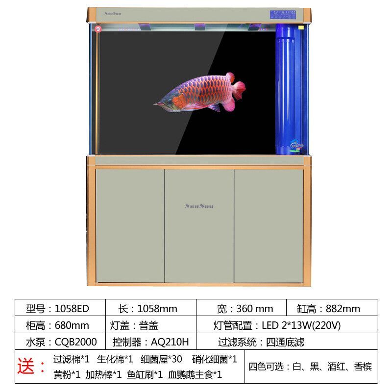 養(yǎng)龍魚最小尺寸