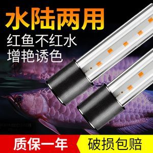 森森魚缸自帶led燈 森森魚缸