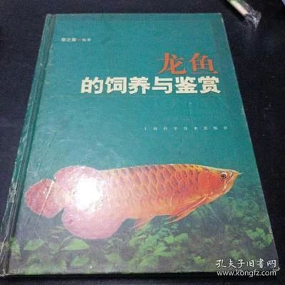 龍魚的飼養(yǎng)與鑒賞作文三年級上冊 龍魚百科 第2張