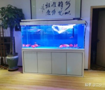 森森魚缸怎么樣質(zhì)量怎么樣 森森魚缸