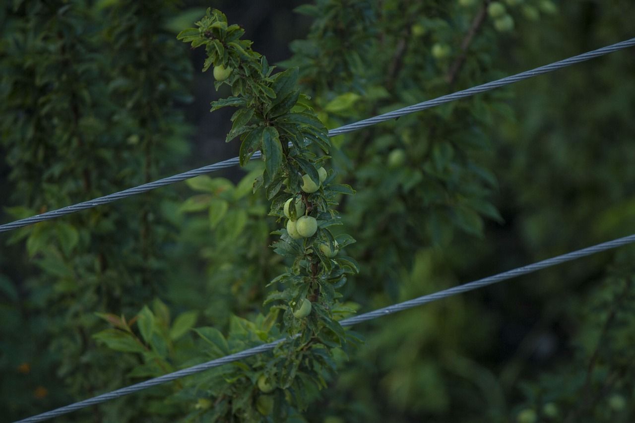 森森魚缸水位調節(jié) 森森魚缸