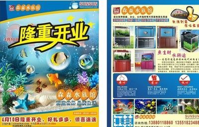 森森水族用品怎么樣