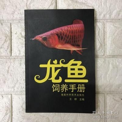 龍魚飼養(yǎng)手冊最新版本 龍魚百科