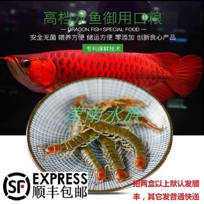 龍魚可以吃蠶蛹嗎 龍魚百科 第3張