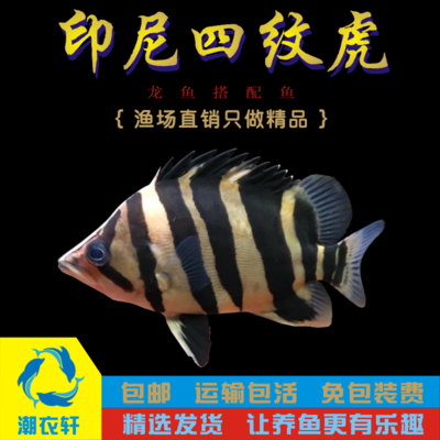 龍魚漁場