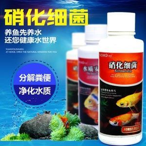 龍魚能用殺菌水嗎