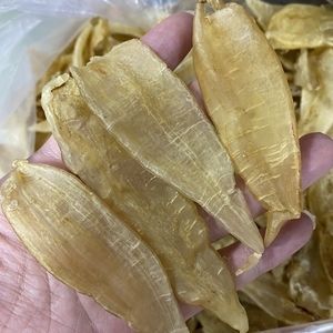 大龍魚可以和小龍魚混養(yǎng)嗎 龍魚百科 第1張