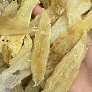 大龍魚可以和小龍魚混養(yǎng)嗎 龍魚百科 第3張