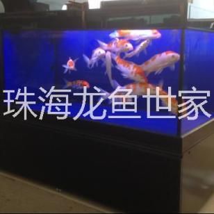 龍魚世家