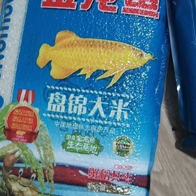 金龍魚寵物魚能吃嗎 龍魚百科 第3張