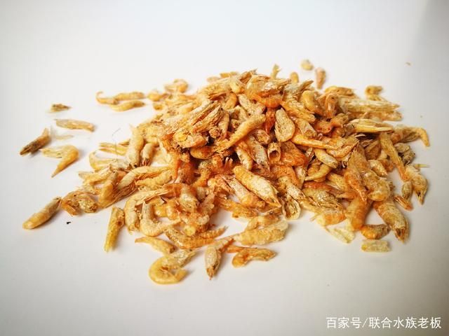 龍魚吃了不新鮮的蝦會(huì)死嗎 龍魚百科 第1張