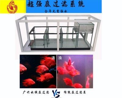 龍魚(yú)缸用什么過(guò)濾器最好 龍魚(yú)百科