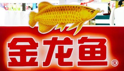 廣州市金龍魚總經(jīng)銷商 龍魚百科 第1張